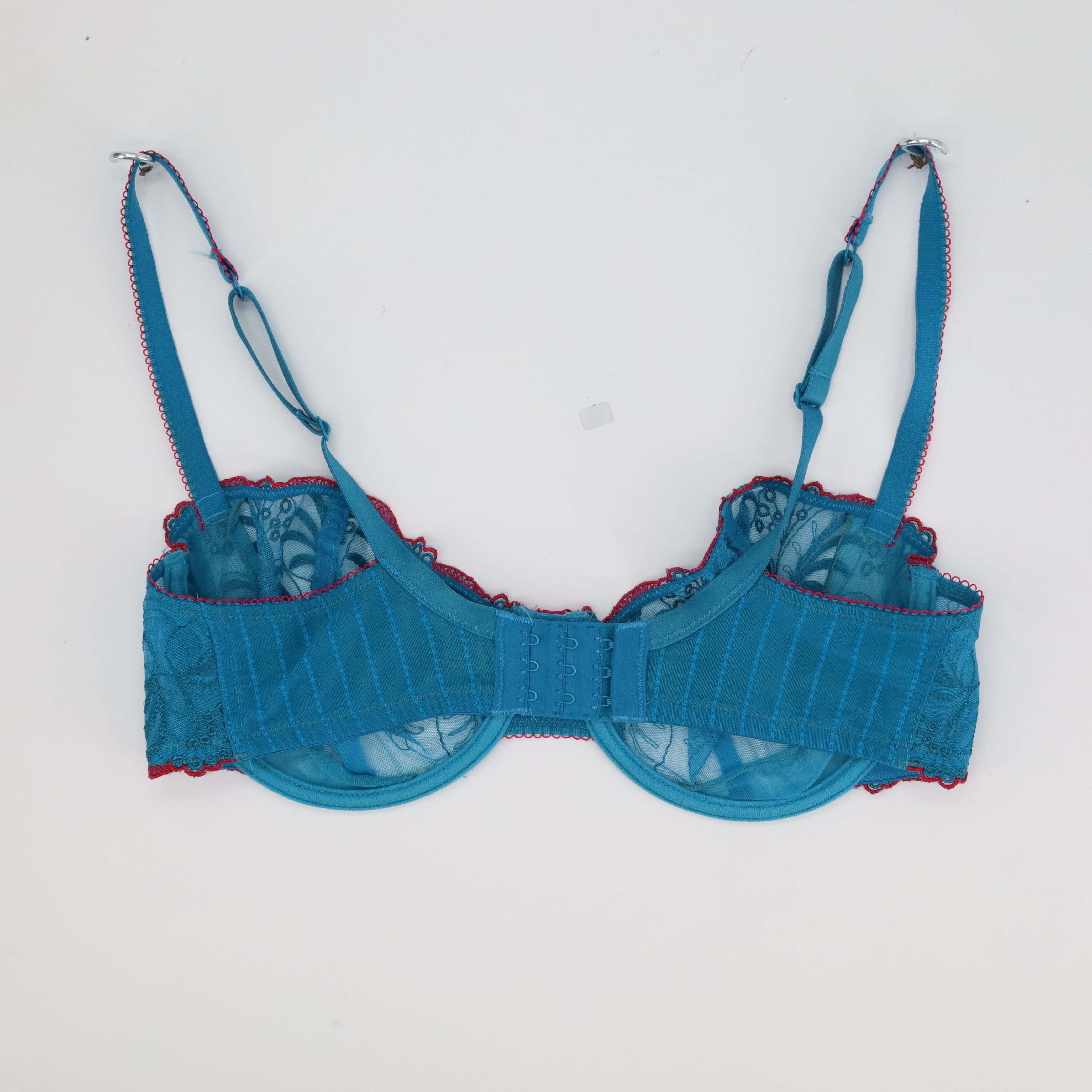 Soutien-gorge RougeGorge Bleu