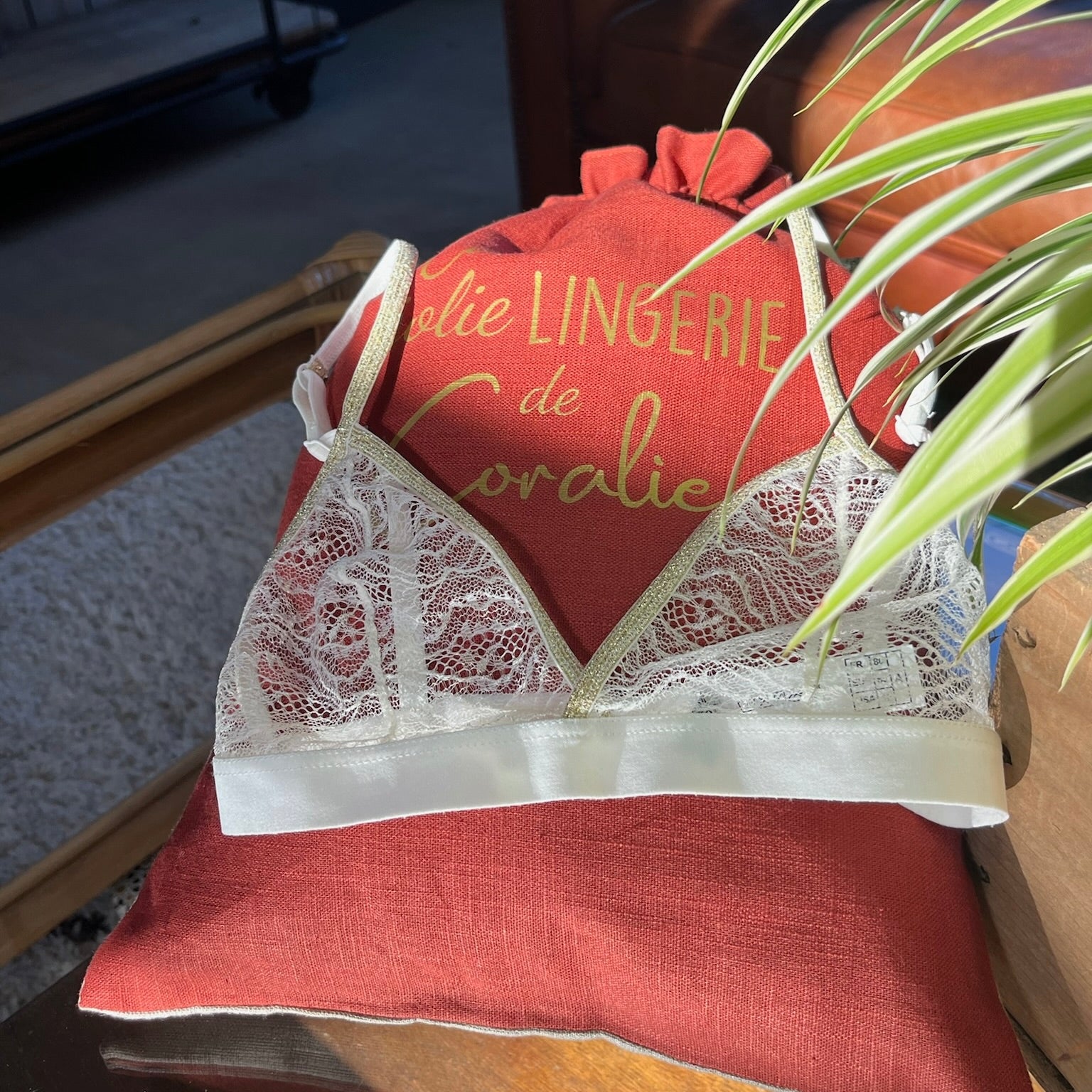 Pourquoi l'Éco-Responsabilité Devrait Être Votre Priorité Quand Vous Choisissez de la Lingerie